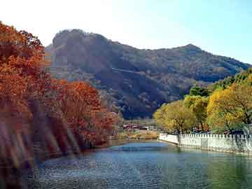 白城洮河钓鱼视频，自然美景与垂钓乐趣