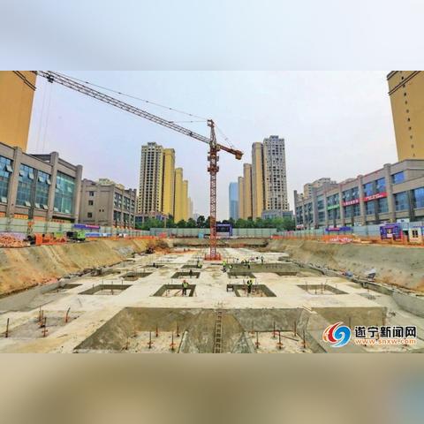 鸟吏鼈官