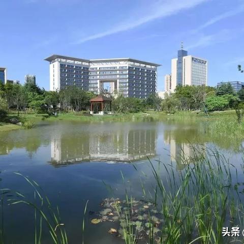 舟山幼儿园工作招聘网最新招聘，舟山民办幼儿园招聘信息