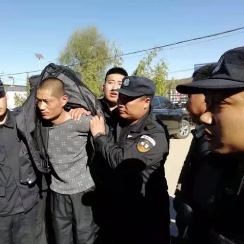 纲挈目张