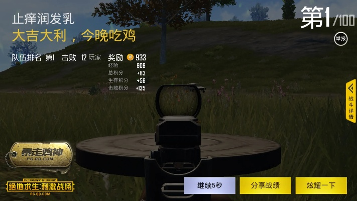 吃鸡游戏版本,全面解答解释定义 进阶版1_v1.626