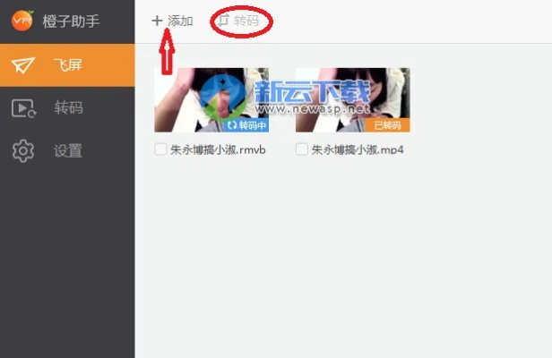 橘子助手的激活码或轻变单机版sf,数据支持方案解析|VR版_v6.128
